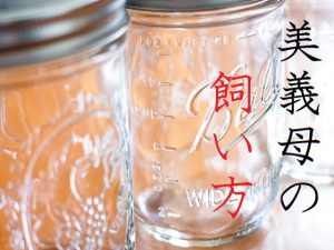 [RJ211914] 美義母の飼い方