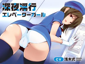[RJ201999] 深夜淫行エレベーターガール