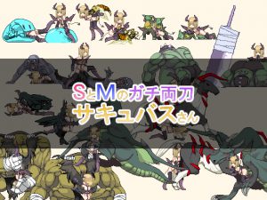 [RJ202219] SとMのガチ両刀サキュバスさん