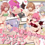 [RJ203963] 淫魔ふれーばーダンジョン