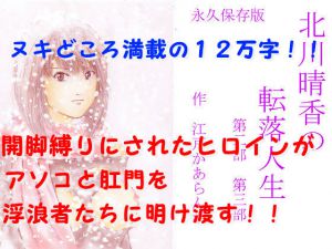 [RJ205625] 北川晴香の転落人生 第二部第三部