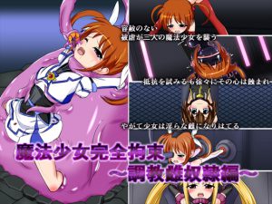 [RJ213830] 魔法少女完全拘束～調教雌奴隷編～