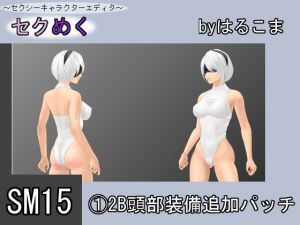 [RJ193411] SM15(1)2B頭部装備追加パッチ