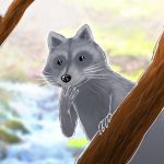 [RJ199357] アライグマの恩返し。(アライ=サン 催眠)