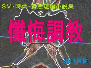 [RJ199558] SM・時代・変態短編小説集「懺悔調教」