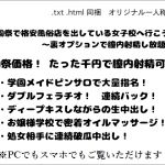 [RJ226683][wordworks] 学園祭で格安風俗店を出している女子校へ行こう! ～裏オプションで膣内射精し放題～