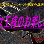 [RJ229414][Sドリーム] SM女王様・シーメール短編小説集「女王様のお楽しみ」