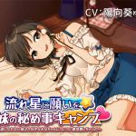 [RJ230140][ムーンライトわんわん] 流れ星に願いを★兄妹の秘め事キャンプ ～素直になれない妹は大好きなお兄ちゃんについつい意地悪しちゃうの～