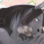 [RJ230882][今日の毛色] ご指名はブラックメア