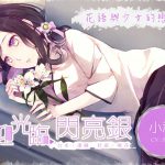 [RJ237296][Shiny Silver] シャイニングシルバーへようこそ:祁ちゃん～花言葉と少女の恋～【中国語版】
