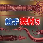 [RJ237905][キュキュキュのQのQ] 触手素材5
