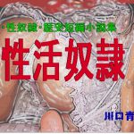 [RJ240759][Mドリーム] SM・性奴隷・歴史短編小説集「性活奴隷」