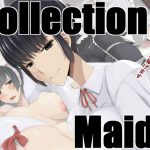 Collection Maids [RJ254714][蹄鉄騎士団]
