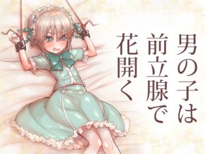 男の子は前立腺で花開く [RJ256440][きゃらだいん]