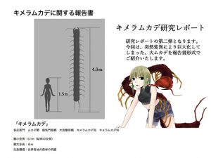 キメラムカデ研究レポート [RJ257229][てるてるがーる]