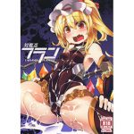 対魔忍フラン [RJ269608][天使の羽]