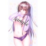 お嬢様がグラビア?! [RJ271987][☆乙女の秘密の恋☆]