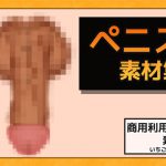 ペニス画像素材～商用OK著作権フリー [RJ275671][商用利用OK素材]