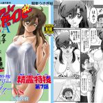 フェアリーセイバーVOL2A [RJ276768][関東うさぎ組]