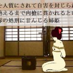 槍姫千本突き [RJ272011][SMX工房]