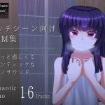 エッチシーン向けBGM集 [RJ283357][Sometimes Bad Tool]