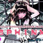縛闘姫伝SPHINX act4 vs薙刀 英語版 [RJ288823][ガト]