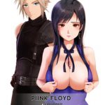 A NICE PAIR [RJ294291][PIINK FLOYD]
