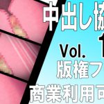 【版権フリー】中出し断面図エロアニメ素材セット vol.1【商業利用可能】 [RJ300742][中出し協会]
