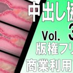 【版権フリー】中出し断面図エロアニメ素材セット vol.3【商業利用可能】 [RJ300909][中出し協会]