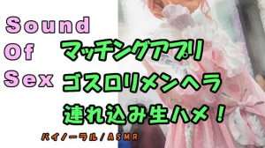 ノンフィクションSEXボイス!実録!～某マッチングアプリでゲット!メンヘラロリを連れ込み生で挿入!寝息、寝起き姦も!バノーラル/ASMR/エロボイス/催眠音声 [RJ315166][ヨルマガ!-ASMR Night Life Media-]