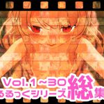 えるるっくシリーズ総集編 Vol.1～30 [RJ315576][えるるっく]