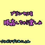 プリンセスを眠姦しちゃう楽しみ [RJ318701][おかずこれくしょん]