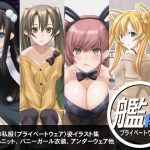 艦PW～プライベートウェア～ [RJ321433][パープルカラー]