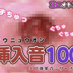 挿入音100～エロ効果音シリーズ02 [RJ324171][エロオト工房]