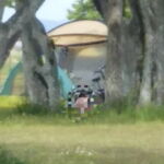 〇供の頃のエロ体験、排泄姿目撃談集2 [RJ326700][R田舎]