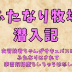 ふたなり牧場潜入記～女冒険者ちゃんがサキュバスにふたなりにされて家畜奴隷堕ちしちゃう話～ [RJ327528][珍宝院]