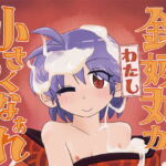 針妙丸が小さくなあれ [RJ344768][東西同人舎]