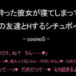 酔った彼女が寝てしまってその友達とHするシチュボイス [RJ344870][コスモS]