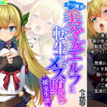 クソ雑魚美少女エルフに転生してメス堕ち援交生活 上巻 [RJ351927][悶々堂]