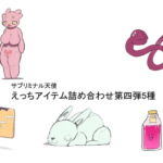 えっちアイテム詰め合わせ第四弾5種 [RJ352149][サブリミナル楽園]