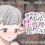 世間知らずなエルフを性処理に使ってみた [RJ352503][VALE TUDO]
