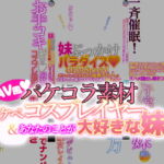 AV風パケコラ素材 どスケベコスプレイヤー&あなたのことが大好きな妹編 [RJ359523][Rev Create]