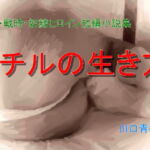 SM・戦時・奴隷ヒロイン短編小説集「ミチルの生き方」 [RJ367149][Mドリーム]