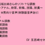 裏垢お姉さんのソフト?な調教～アナル、飲尿、飲精、浣腸、脱糞～ [RJ369680][猫丸もふ屋]