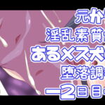 元から淫乱素質があるメス犬の堕落調教―2日目― [RJ374296][デジタルワイフProject]