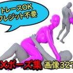【トレースOK・クレジット不要】SEXポーズ集 [RJ377008][デザインポーズ集]