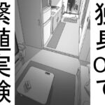 【単品販売】一人暮らしのOLで繁殖実験 [RJ381844][おこめのおとも]