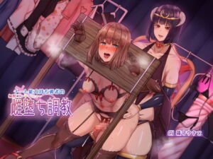 チート能力持ち勇者の無限コンティニュー雌堕ち調教 [RJ385369][ヒット&アウェイ]