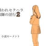 嫌われセクハラ教師の淫行2 [RJ395635][小説モーメント]