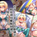 お高くとまったお姫様が精処理用雌豚奴隷に堕ちるまで [RJ397998][××工房]